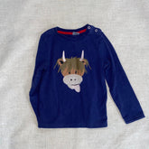 Porcupine / Cow Tee